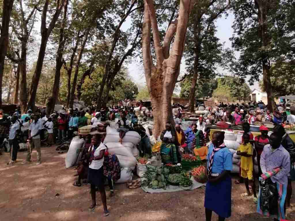 Amici Betharram Onlus Fiera Agricola Bouar 2020 (11)