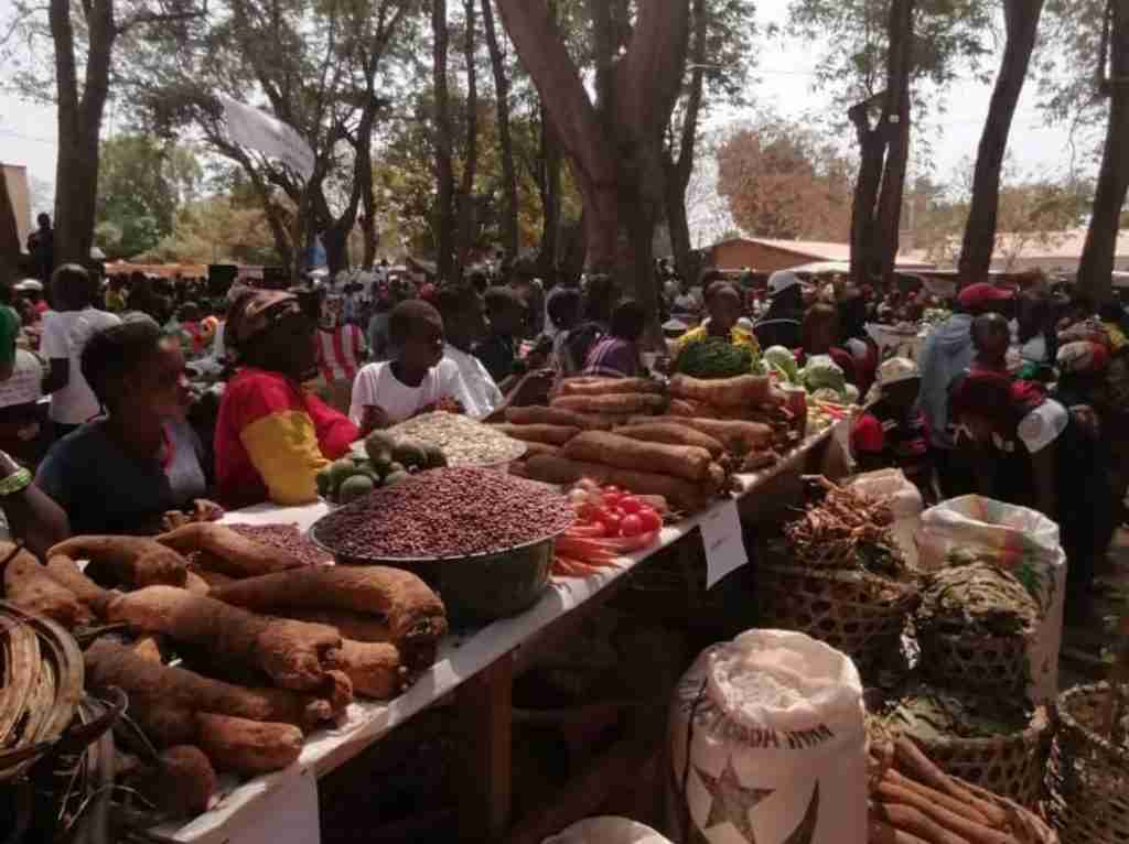 Amici Betharram Onlus Fiera Agricola Bouar 2020 (14)