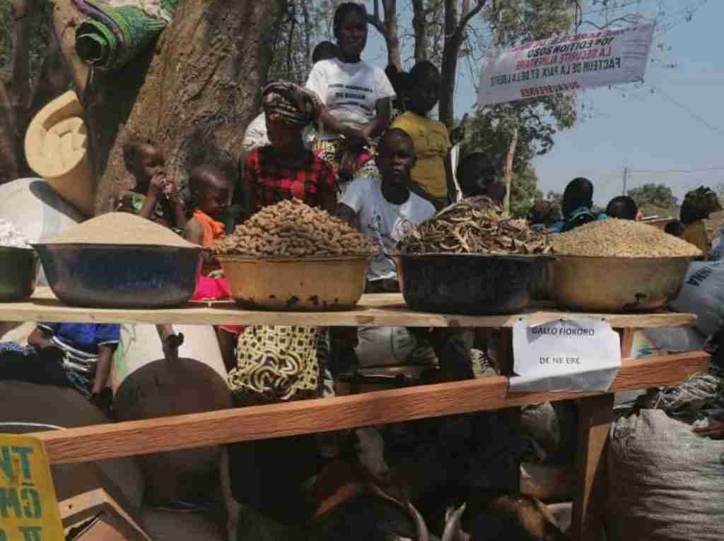 Amici Betharram Onlus Fiera Agricola Bouar 2020 (15)