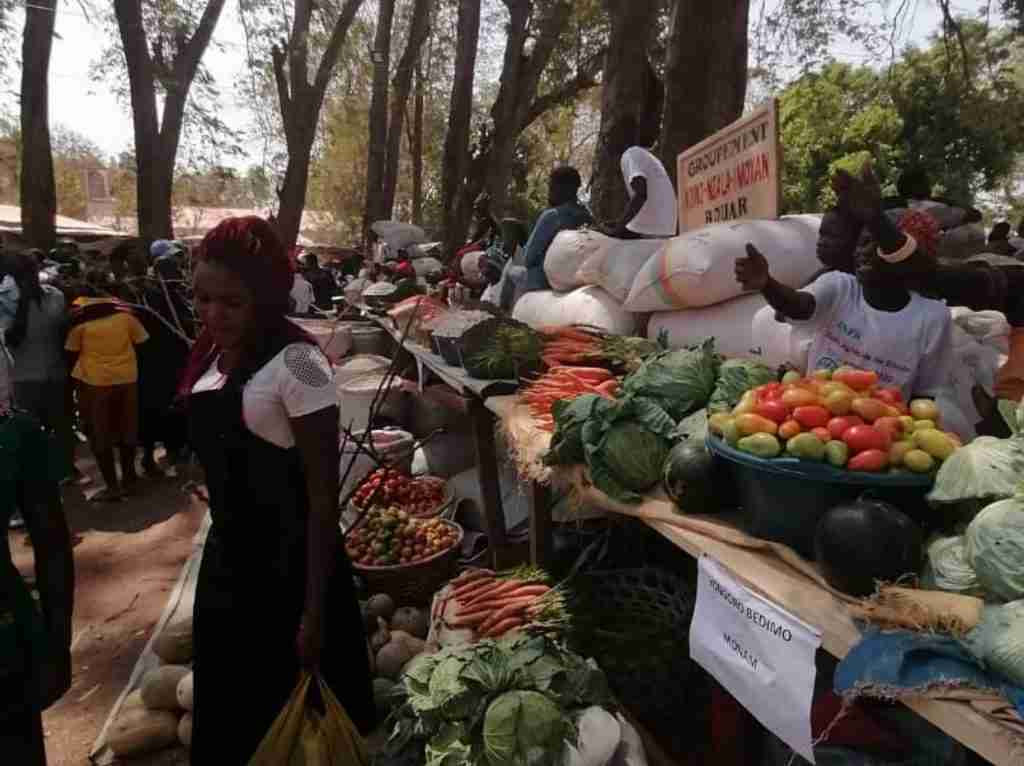 Amici Betharram Onlus Fiera Agricola Bouar 2020 (16)