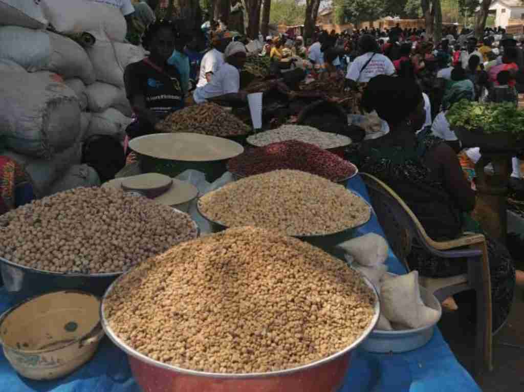 Amici Betharram Onlus Fiera Agricola Bouar 2020 (17)