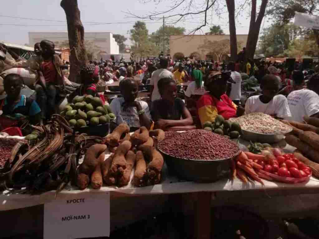 Amici Betharram Onlus Fiera Agricola Bouar 2020 (19)