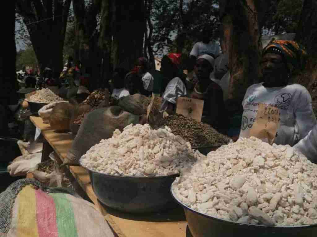 Amici Betharram Onlus Fiera Agricola Bouar 2020 (2)