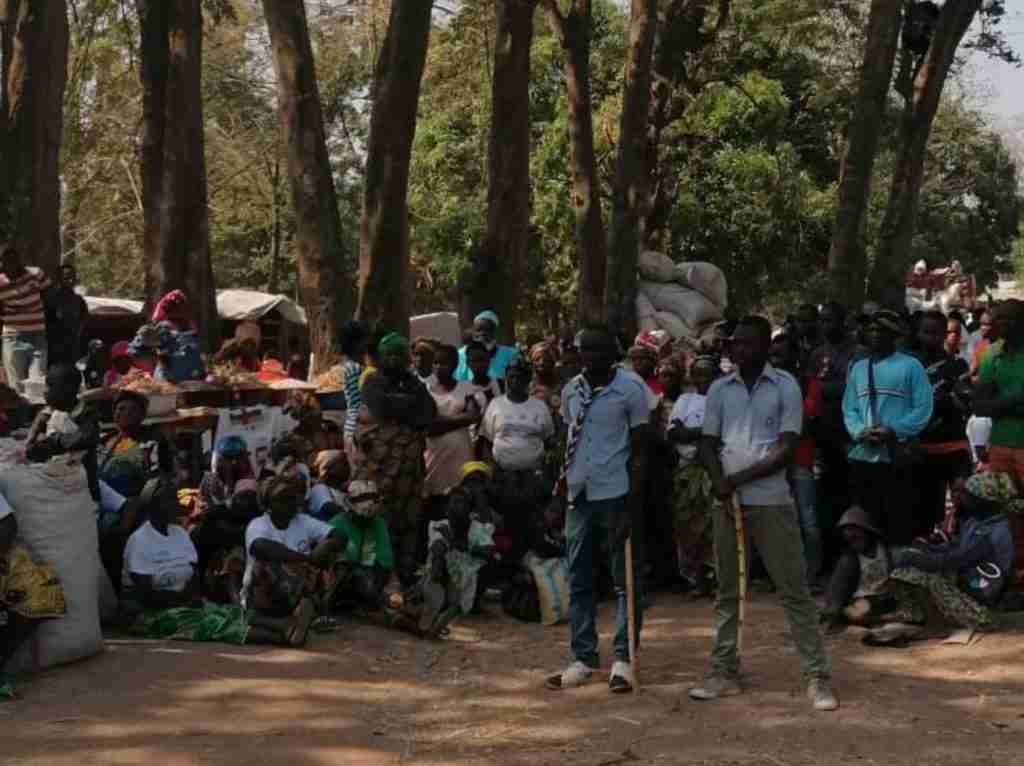 Amici Betharram Onlus Fiera Agricola Bouar 2020 (20)