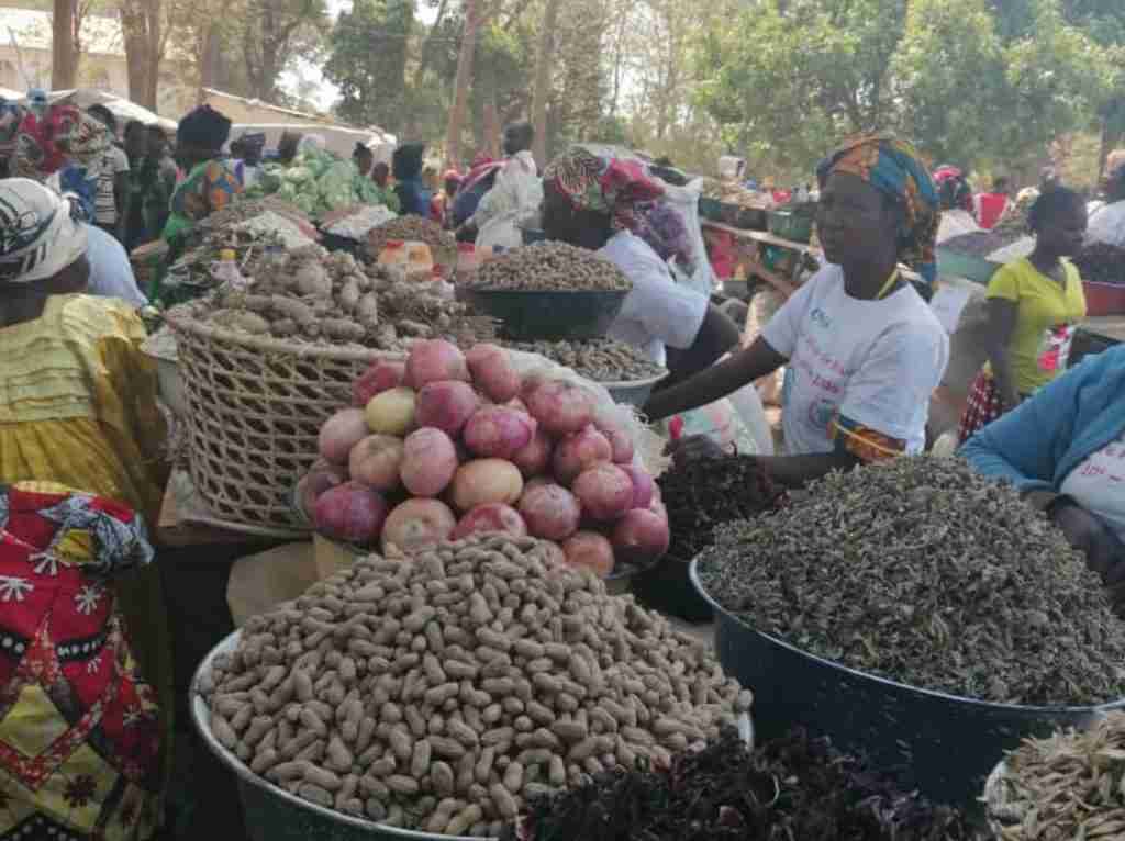 Amici Betharram Onlus Fiera Agricola Bouar 2020 (3)