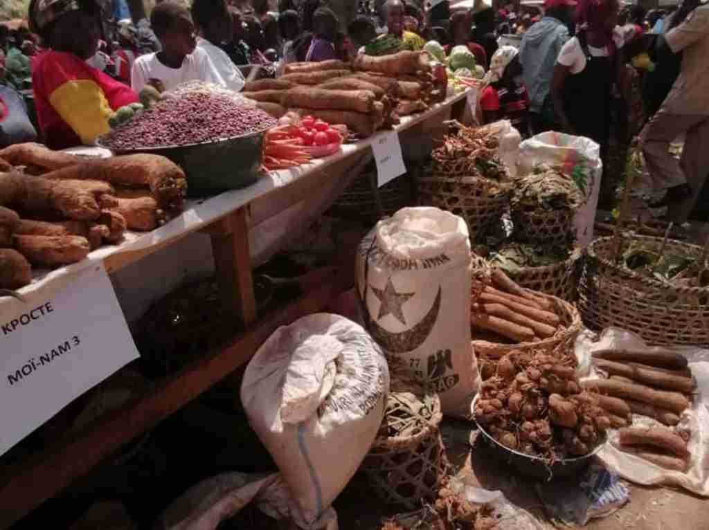 Amici Betharram Onlus Fiera Agricola Bouar 2020 (6)