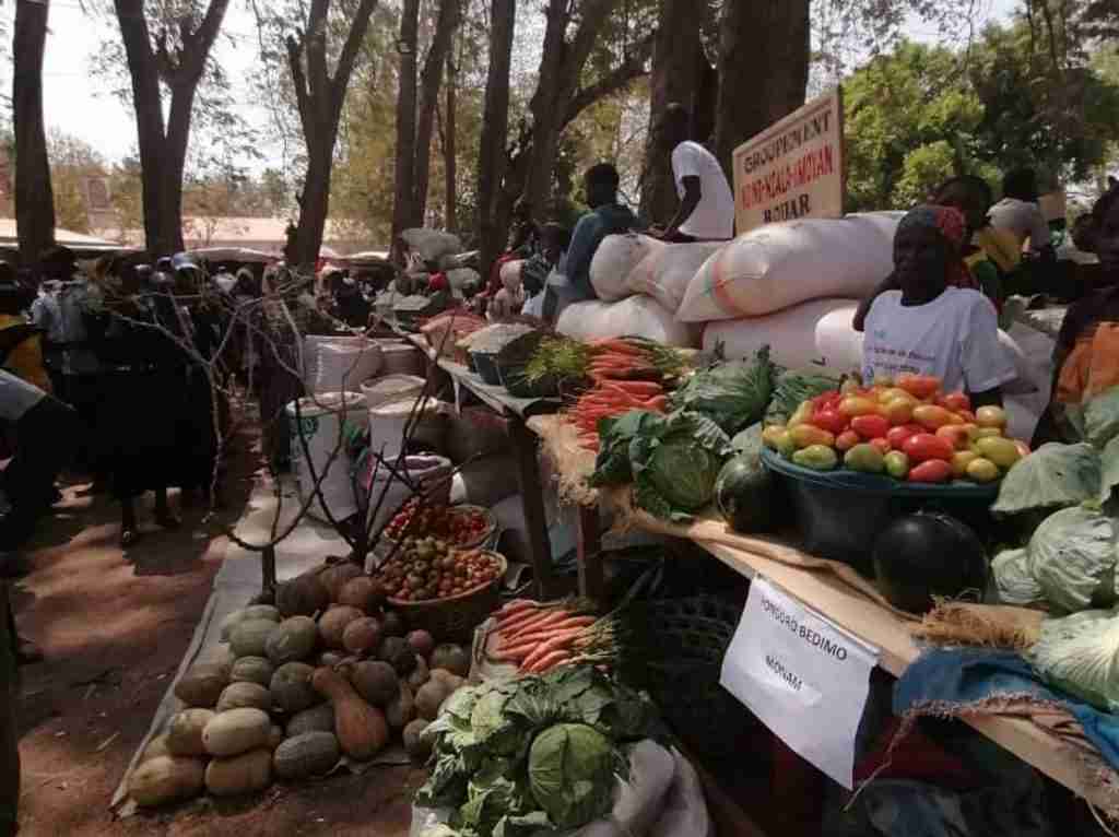 Amici Betharram Onlus Fiera Agricola Bouar 2020 (7)