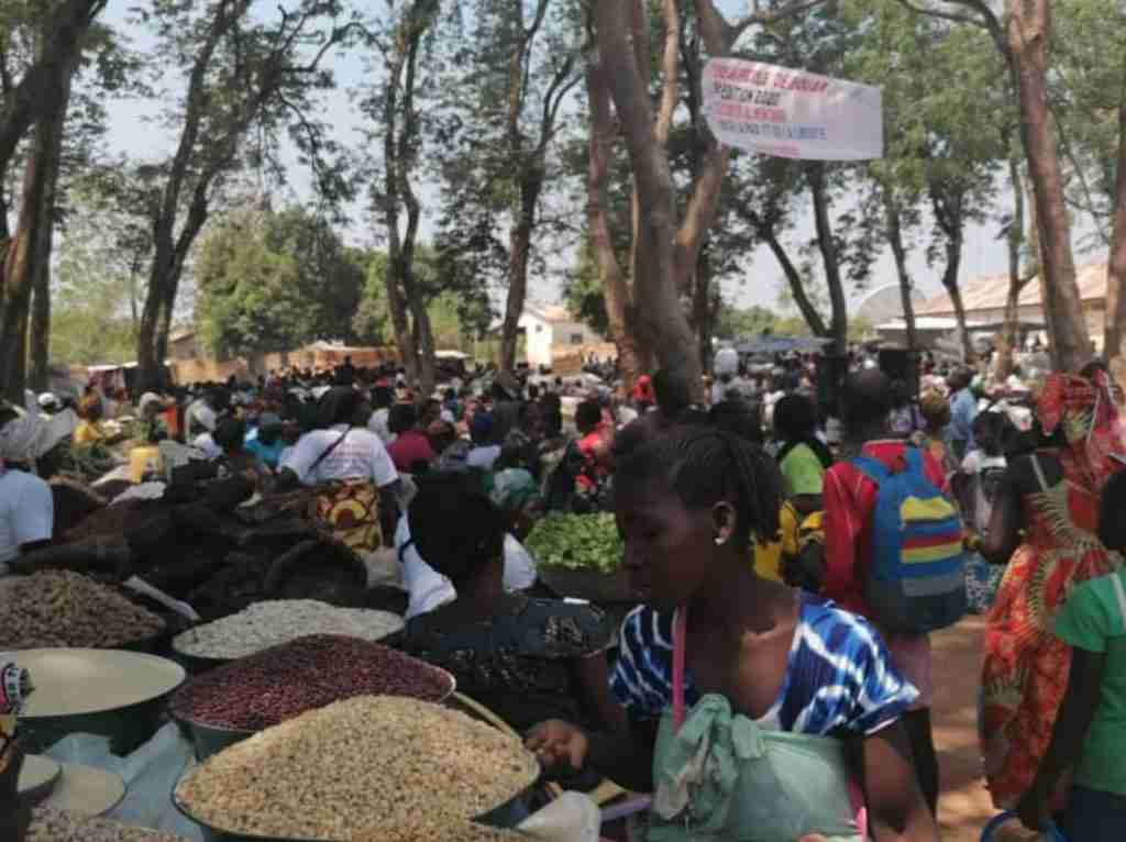 Amici Betharram Onlus Fiera Agricola Bouar 2020 (8)